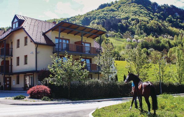 Ferienwohnung - Celje-Lasko , Slowenien - SSR118 1