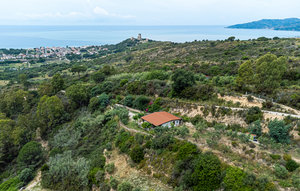 Ascea
