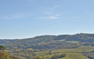Photo of Querce, Querce